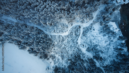 Birds eye view from a drone on forest in a winter landscape with trees and a way