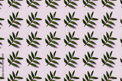 Pistachio twig with green leaves on white background. Spring pattern for your design