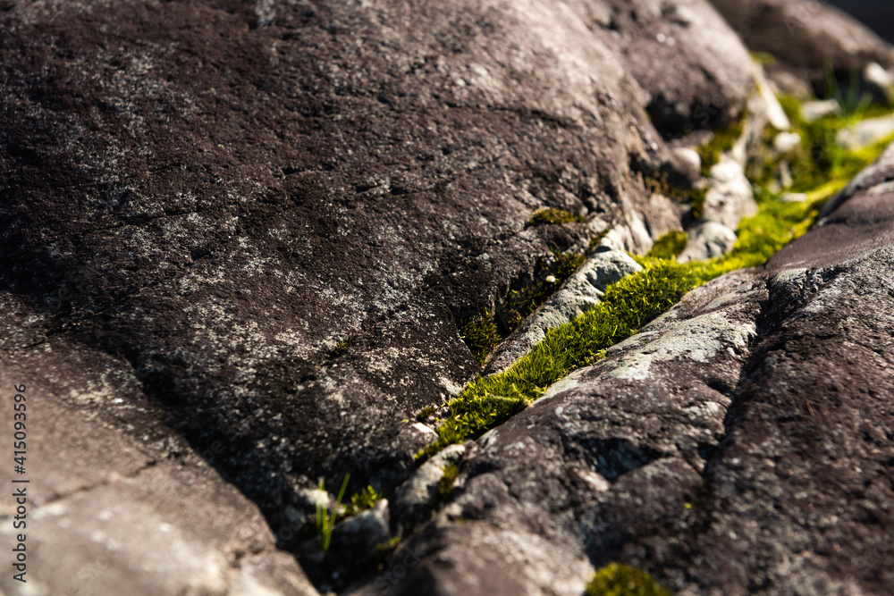 Dark stone with a crack and a green moss between it lit by a soft light in shallow depth of field.