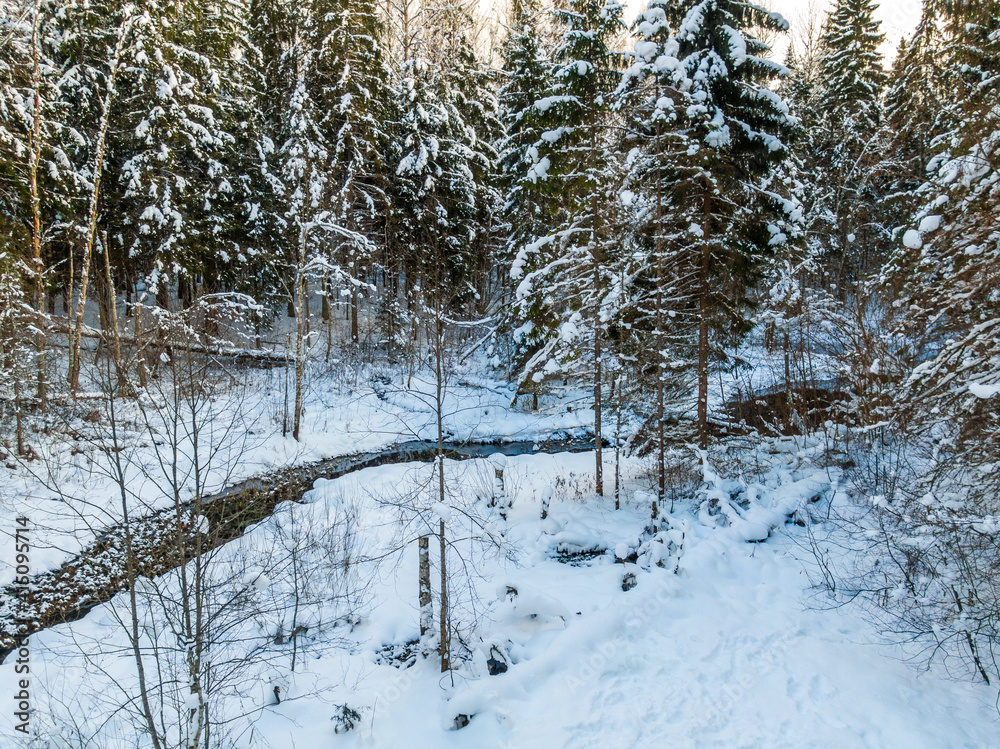 Fototapeta premium Winter forest and river