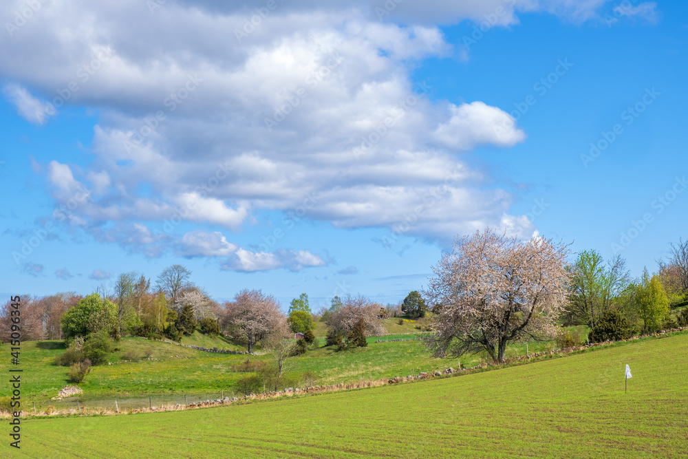 Idyllic landscape view in springtime Idyllic landscape view in springtime