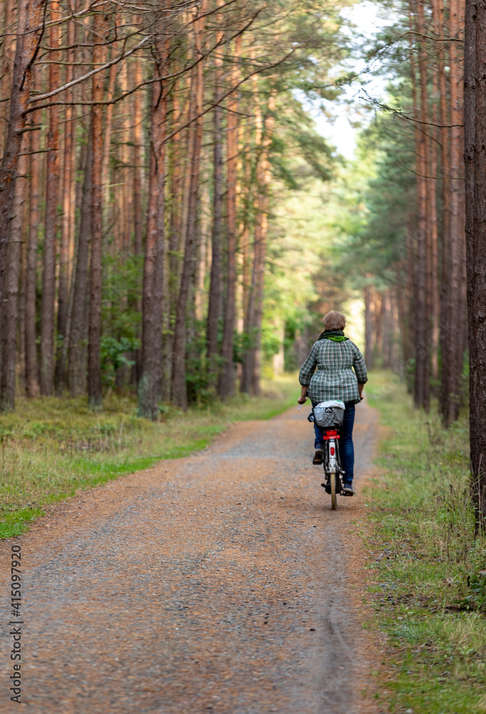 A forest road among the fragrances of pines on the Vistula Spit between Jantar and Stegna. Poland