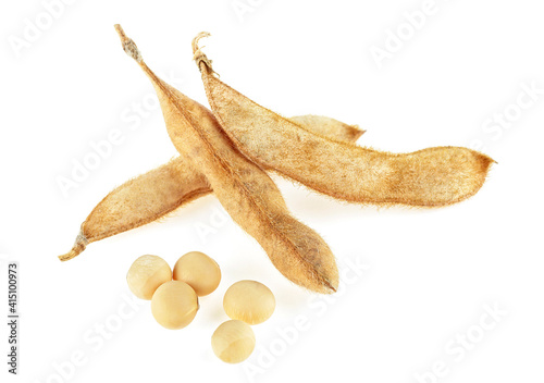 Healthy food - Soybean pods and beans isolated on a white background. Soy legumes on dry pods.