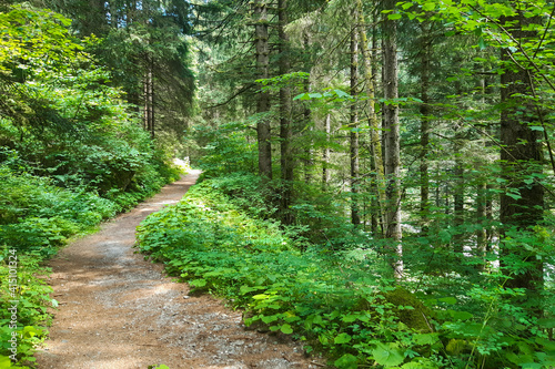 Sentiero delle cascate che porta alla cascata Lares nella Val Genova in Trentino, viaggi e paesaggi in Italia