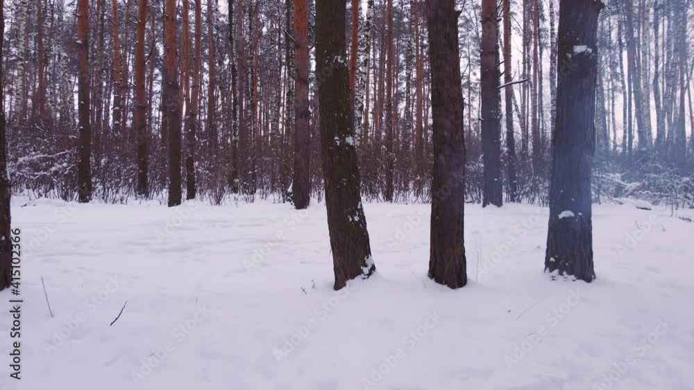 Flying a drone over a campfire in a winter forest. Flying a drone over a campfire in a winter forest.