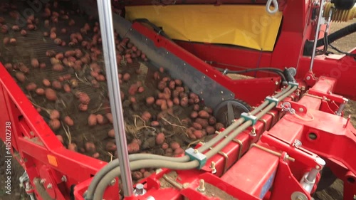 harvesting potatoes using machinery. harvesting potatoes using technology. autumn harvest