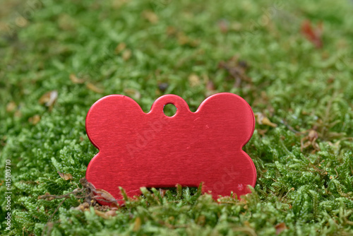 Blank red Dog Tag on the green grass