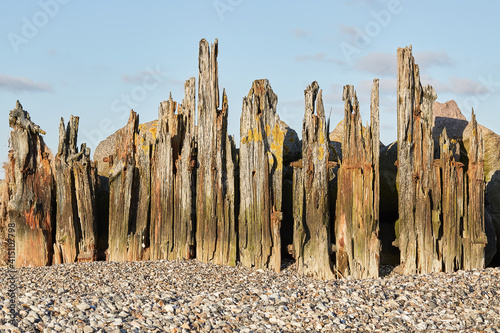 wood poles in the sand on the beach
