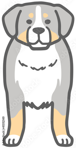 正面を向いたバーニーズマウンテンドッグのイラスト