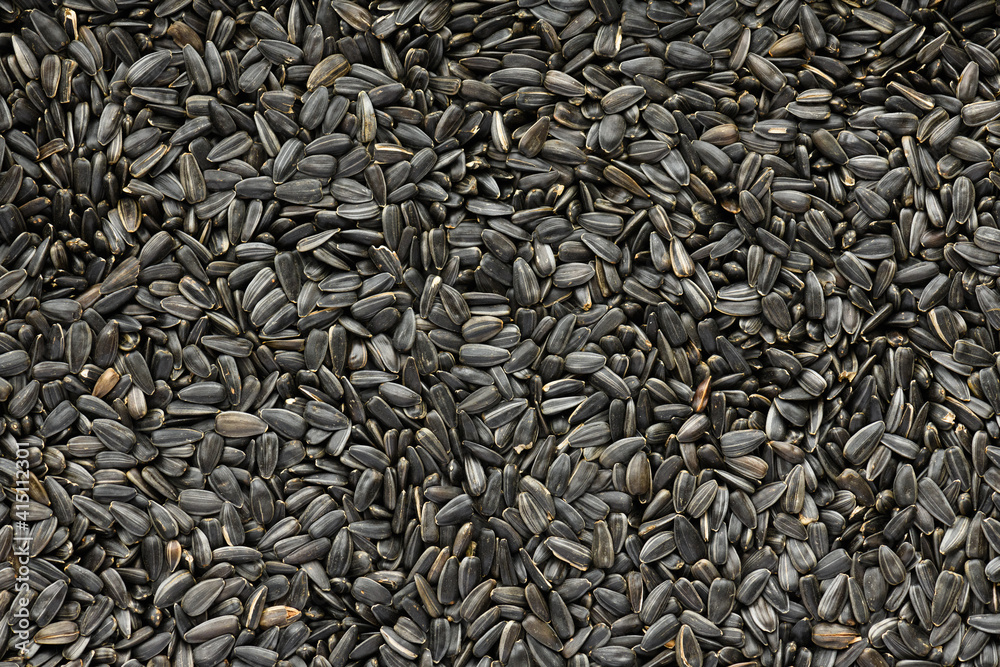 sunflower seeds background, closeup of roasted seeds sunflower seeds background, closeup of roasted seeds