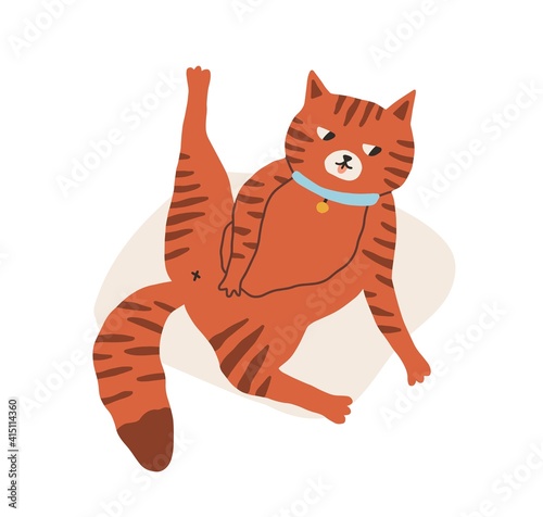 Cute and funny cat grooming and washing itself and lying belly up with raised back paw. Adorable kitty isolated on white background. Hand-drawn colored flat vector illustration in doodle style