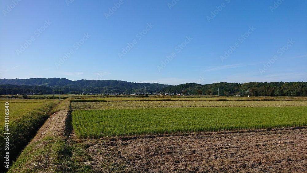 Japanese landscape with a field