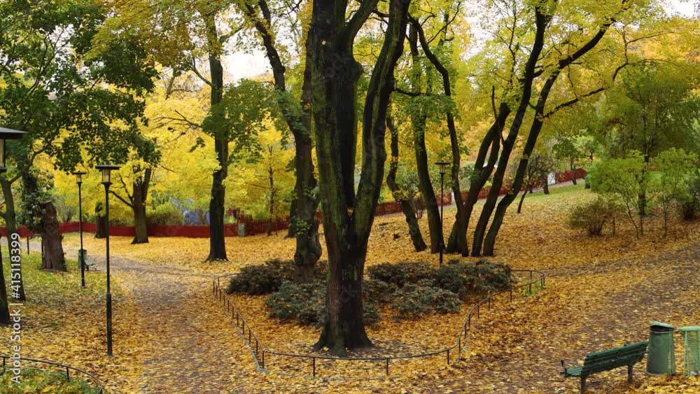 Autumn leaves fall from trees in colorful park in Sweden, static view Autumn leaves fall from trees in colorful park in Sweden, static view
