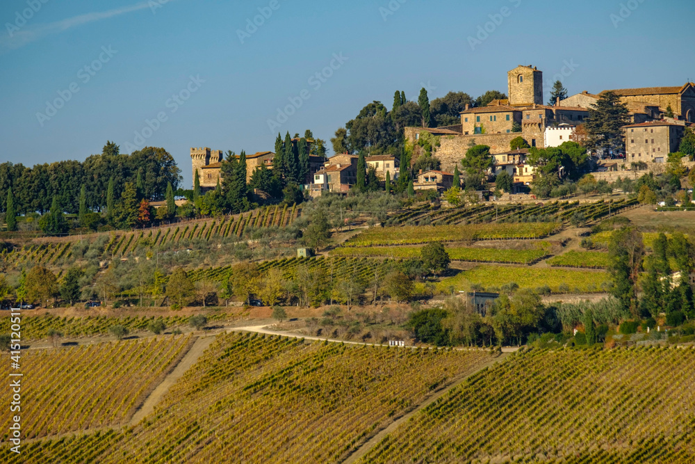 Italy, Tuscany. Vineyard in autumn