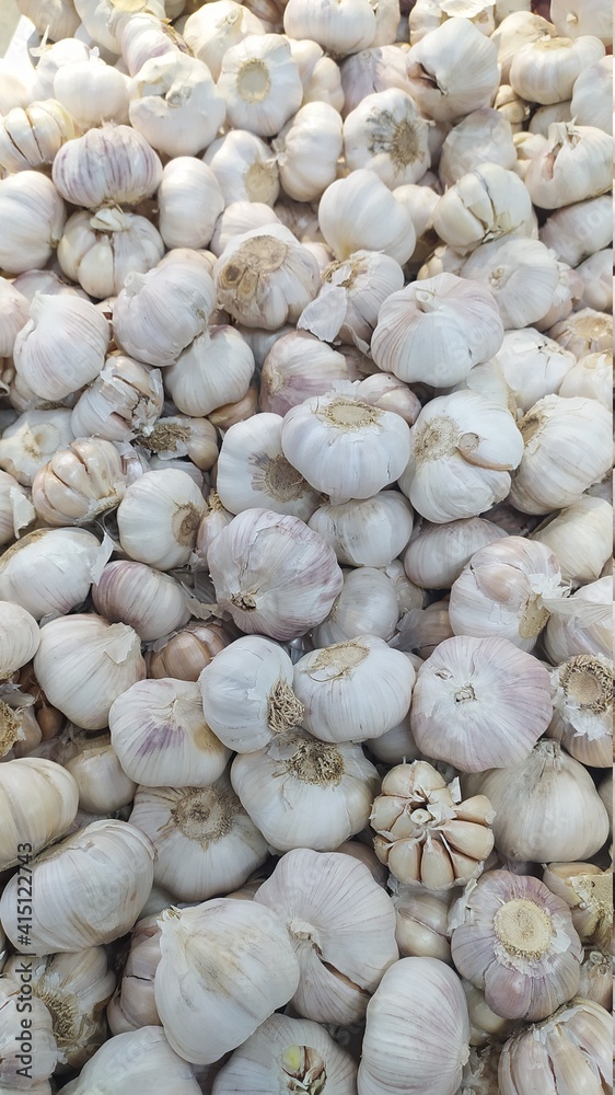 garlic in the supermarket for sale garlic in the supermarket for sale