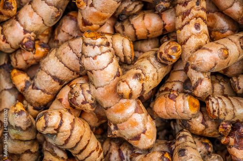 Turmeric roots closeup. Fresh harvest of many turmeric roots background texture.