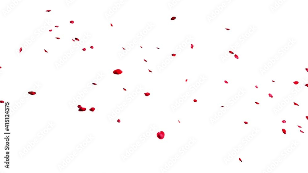 Group of Red Rose Petals floating in the air from left to right isolated on white Background. 3D rendering with Alpha Matte.4K Group of Red Rose Petals floating in the air from left to right isolated on white Background. 3D rendering with Alpha Matte.4K
