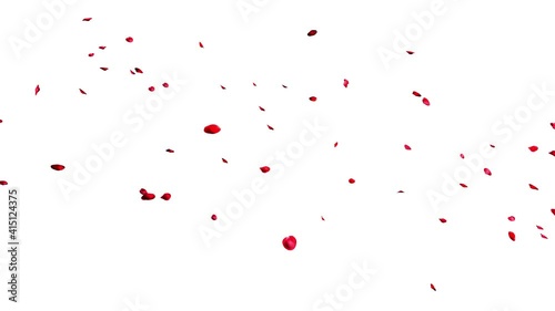 Group of Red Rose Petals floating in the air  from left to right isolated on white Background.  3D rendering with Alpha Matte.4K