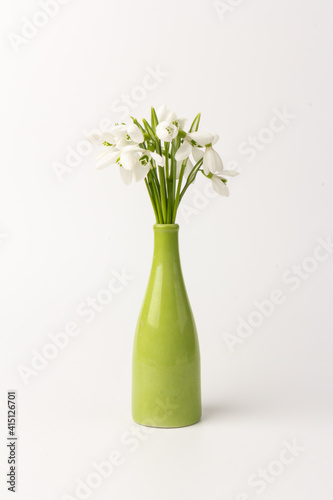 Snowdrop in a vase, on white background. White springs flower in close-up with copy space.