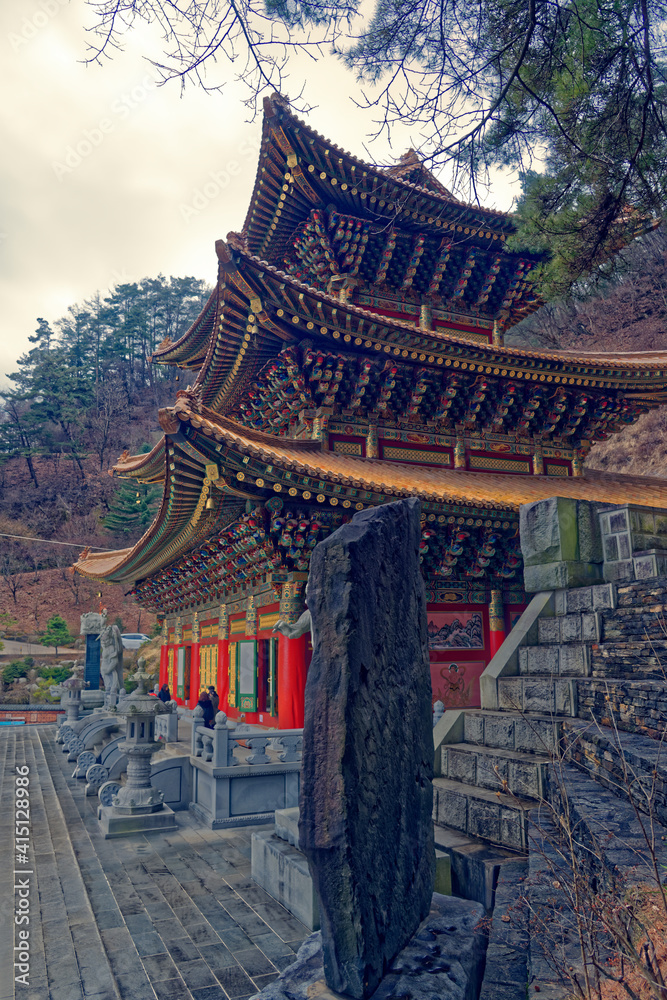 Fototapeta premium default