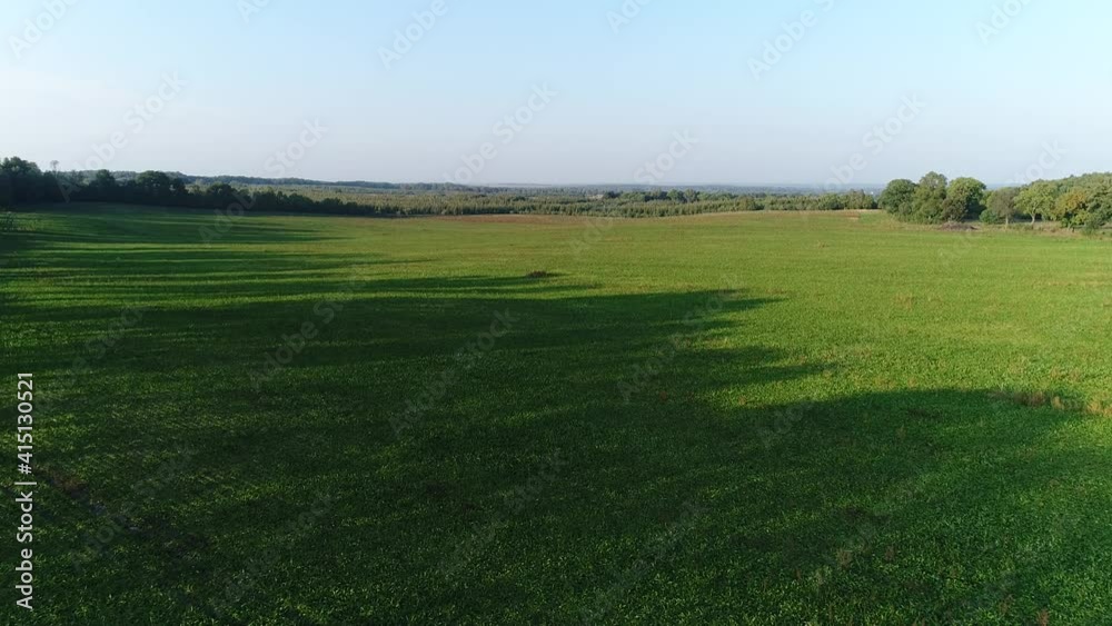 Large green meadow with long shadows of trees in the video from the drone. Large green meadow with long shadows of trees in the video from the drone.