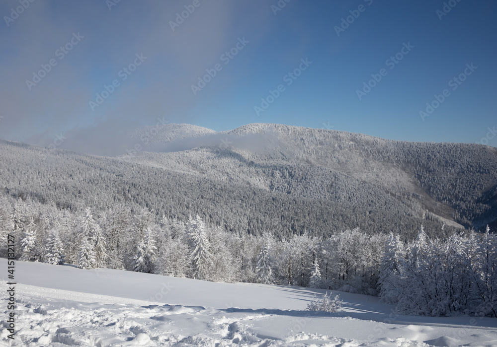 Certuv Mlyn and Knehyne mountain, Beskids, Czech Republic, Czechia - landscape and nature in the winter.  Meadow and coniferous trees are covered by white snow. View from Pustevny.