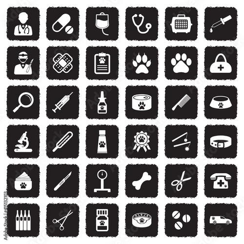 Veterinary Icons. Grunge Black Flat Design. Vector Illustration.