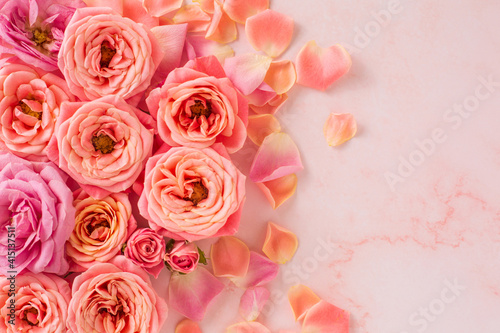Blooming pastel pink roses and petals