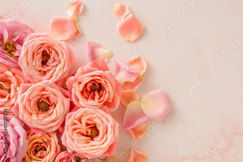 Blooming pastel pink roses and petals