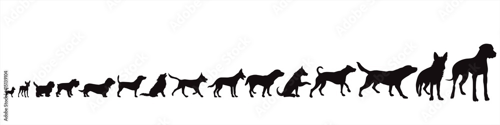 Collection of vector silhouette of dogs, from small to big. Symbol of animal and pet.