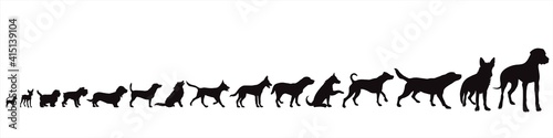 Collection of vector silhouette of dogs, from small to big. Symbol of animal and pet.