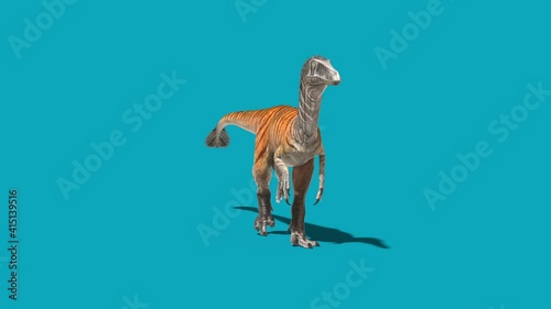 Austroraptor Walks Blue Screen Front Dinosaurs 3D Rendering Animation 4K photo