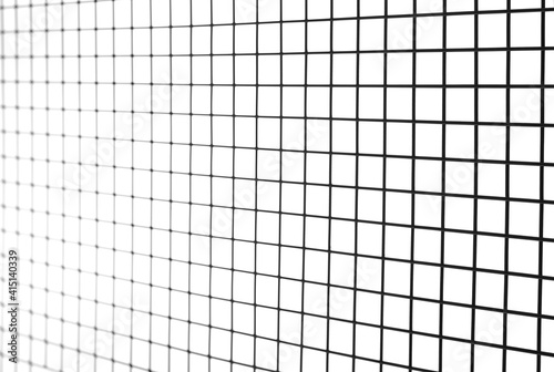 Black metal mesh texture  cage grids isolated on white background  clipping path