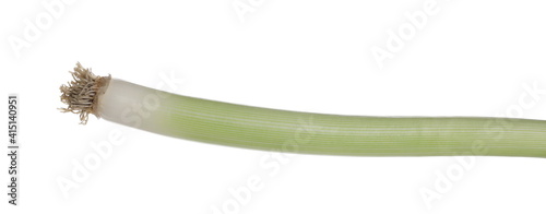 Leek vegetable isolated on white background with clipping path