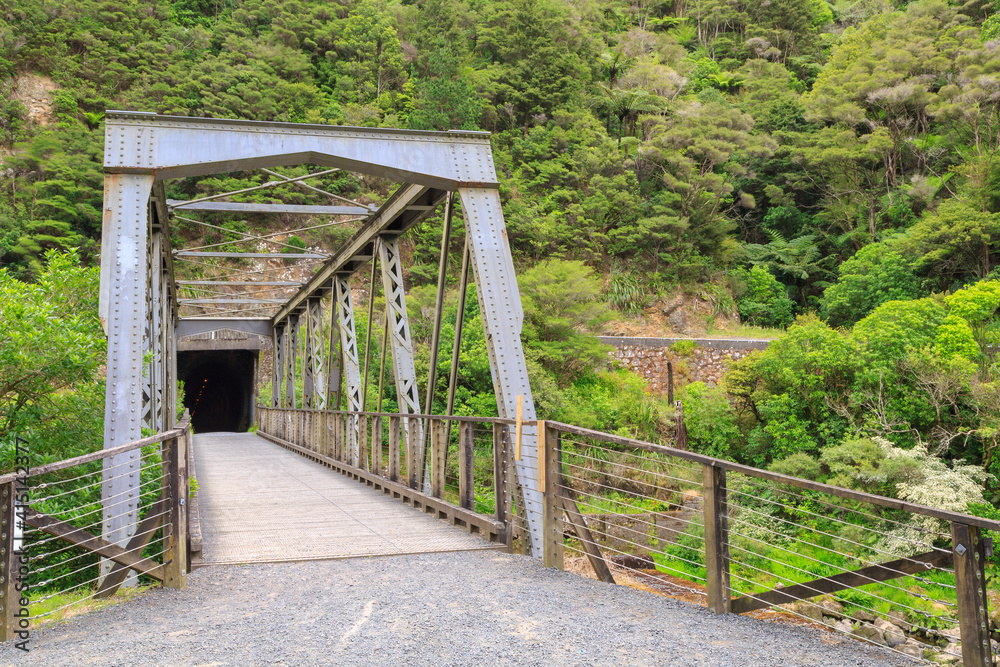 An old metal rail bridge with a tunnel on the other side. Karangahake Gorge, New Zealand