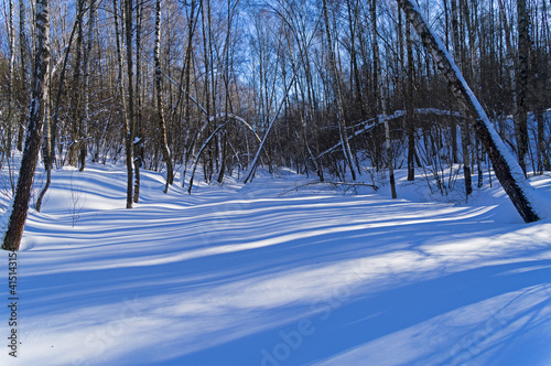 A small snow-covered ravine in the winter forest. photo