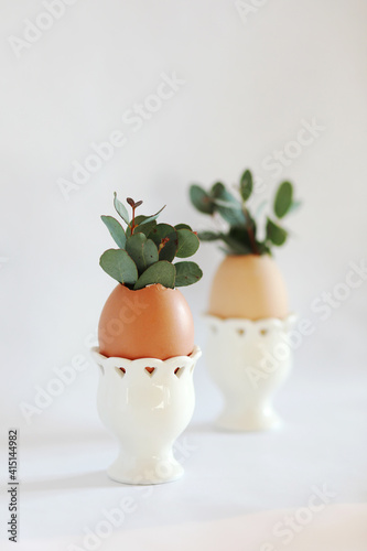 Fresh eucalyptus in egg shell on white background. Easter minimalism concept, copy space for text.