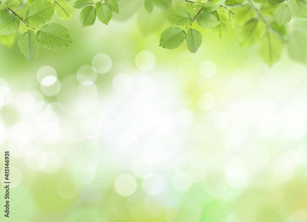 Beautiful green leaves on blurred background, space for text. Spring season