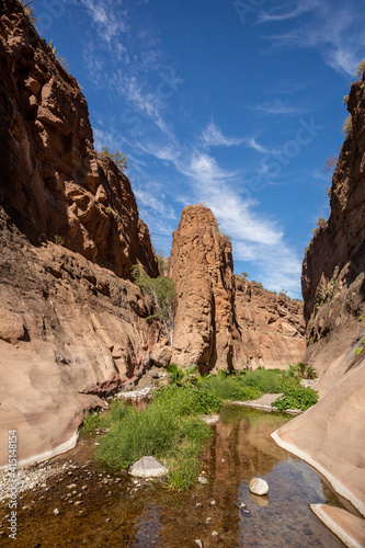 Fresh water in a slot canyon at Mesquite Canyon, Sierra de la Giganta, Baja California Sur photo