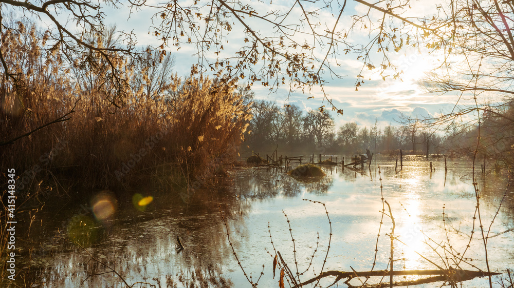 Obraz premium winter country near the river