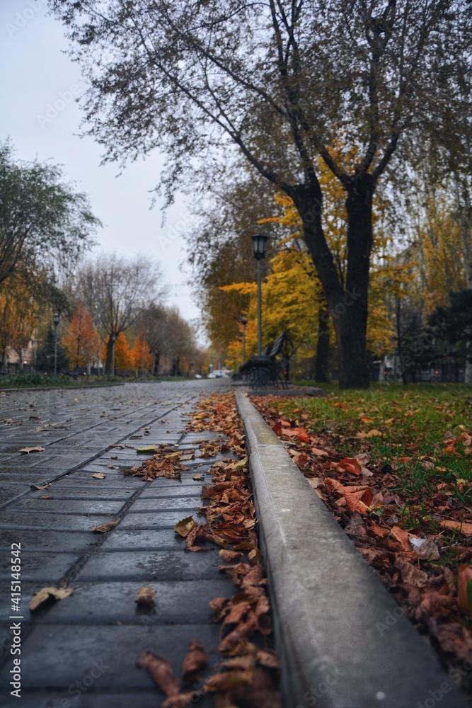 autumn in the park