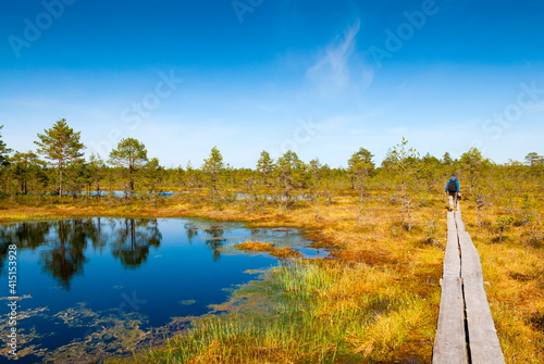 Viru Bog (Viru Raba) peat swamp, Lahemaa National Park, Harjumaa, Laane-Virumaa, Estonia