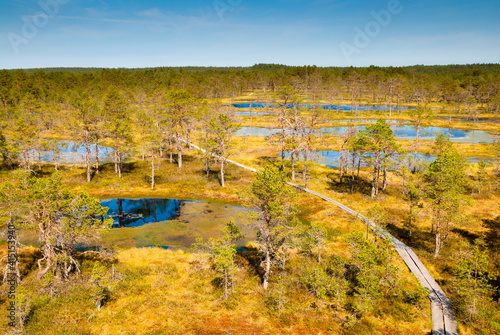 Viru Bog (Viru Raba) peat swamp, Lahemaa National Park, Harjumaa, Laane-Virumaa, Estonia