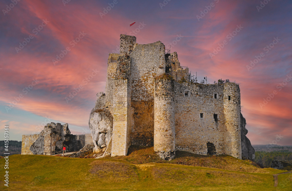 Landscape castle nature view Poland