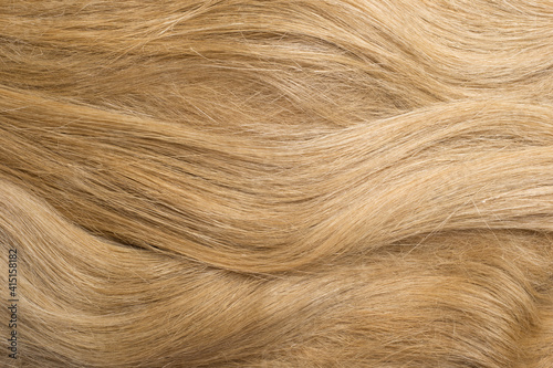 Natural dry flax fibers texture as background. Textured background with copy space for your message.