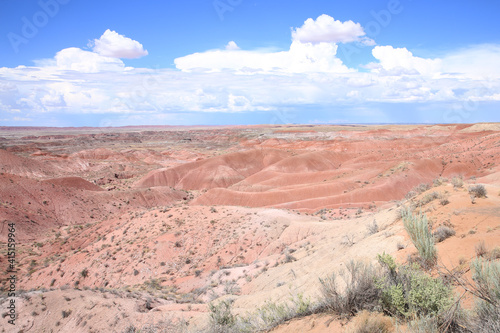 Petrified Forest National Park in Arizona  USA