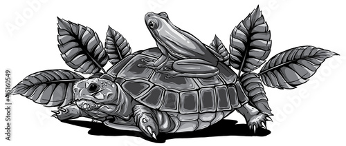 monochromatic Frog and Turtle vector illustration graphics art