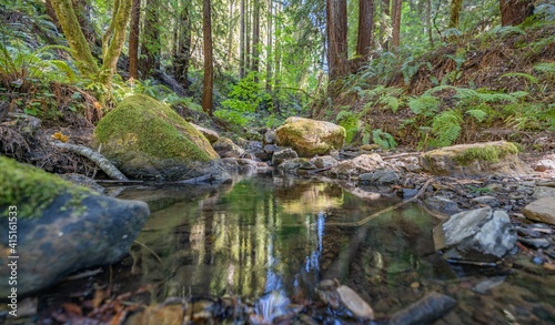 Beautiful landscape  bed of a mountain river with reflection and a stream of clear water in the shade of trees in a California forest