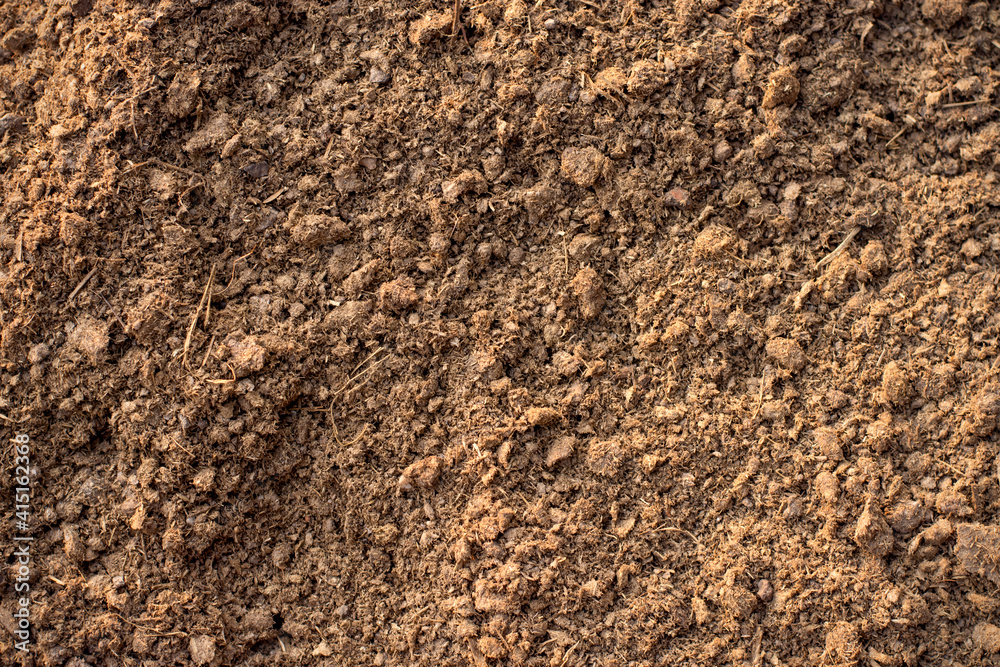 Dung or manure on the farm when the morning sun is shining. Dung or manure on the farm when the morning sun is shining.