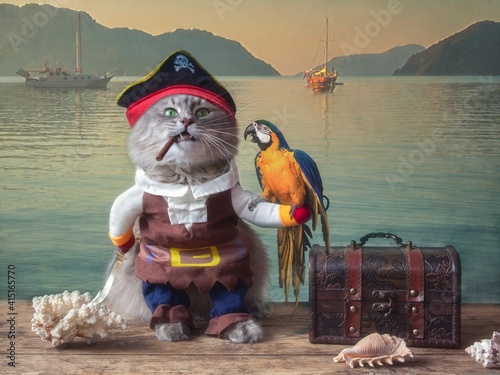Funny cat dressed as a pirate with a parrot on the pier Fototapet
